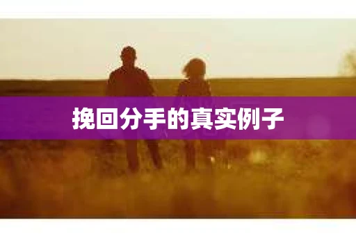 挽回分手的真实例子