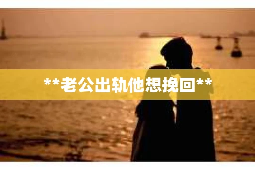 **老公出轨他想挽回**