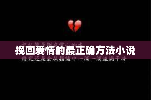挽回爱情的最正确方法小说