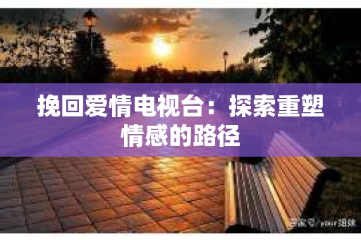 挽回爱情电视台：探索重塑情感的路径
