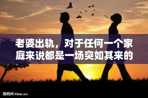 老婆出轨，对于任何一个家庭来说都是一场突如其来的风暴。面对这样的困境，如何挽回婚姻，重拾家庭的和谐，成为了许多人迫切想要了解的问题。今天，我们就来聊聊这个敏感而现实的话题——老婆出轨最好的挽回办法。