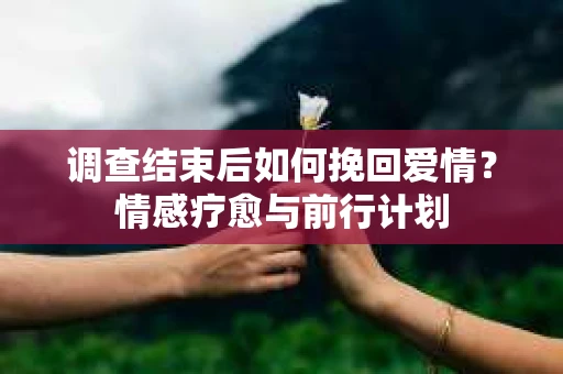 调查结束后如何挽回爱情？情感疗愈与前行计划