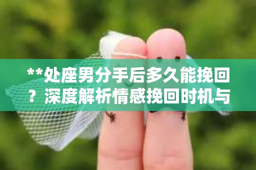 **处座男分手后多久能挽回？深度解析情感挽回时机与策略**