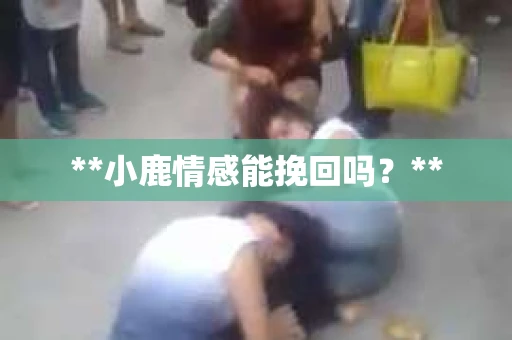**小鹿情感能挽回吗？**