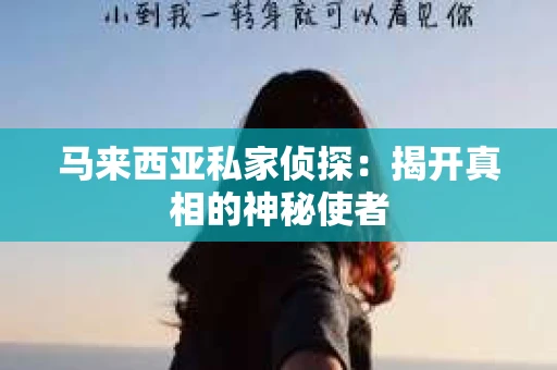 马来西亚私家侦探：揭开真相的神秘使者