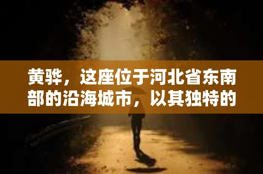 黄骅，这座位于河北省东南部的沿海城市，以其独特的地理位置和丰富的历史文化而闻名。然而，在这座城市中，还有一群人，他们以另一种方式默默守护着社会的公平与正义——私家侦探。今天，我们就来聊聊黄骅的私家侦探，看看他们是如何在这个城市中发挥作用的。