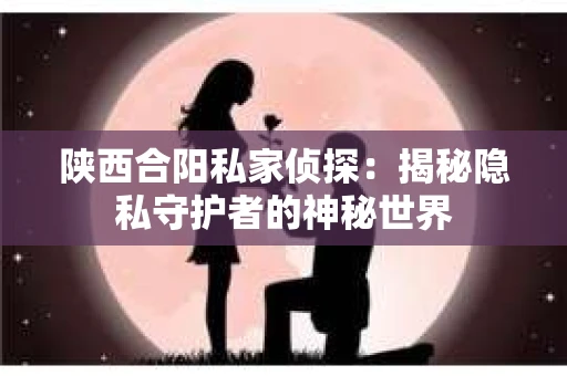陕西合阳私家侦探：揭秘隐私守护者的神秘世界