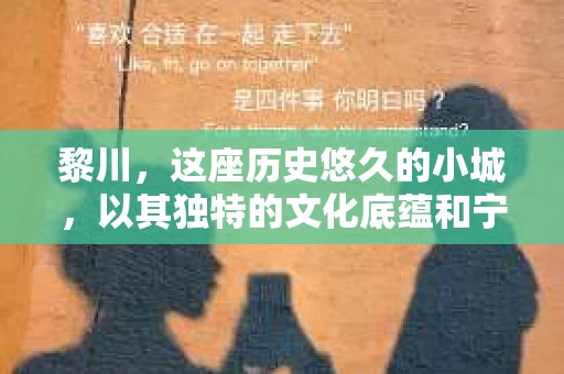 黎川，这座历史悠久的小城，以其独特的文化底蕴和宁静的生活节奏吸引着无数游客。然而，在这样一个看似平静的城市里，你是否会好奇，有没有私家侦探机构的存在呢？今天，就让我带你一探究竟。