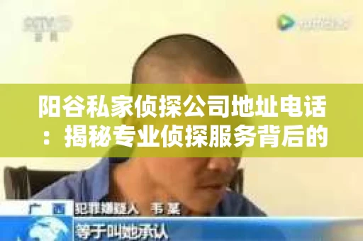 阳谷私家侦探公司地址电话：揭秘专业侦探服务背后的故事
