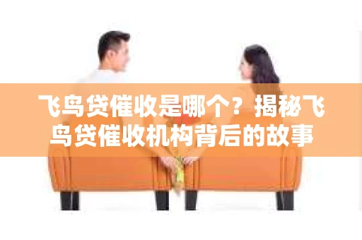 飞鸟贷催收是哪个？揭秘飞鸟贷催收机构背后的故事