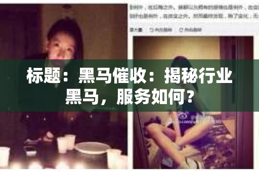标题：黑马催收：揭秘行业黑马，服务如何？
