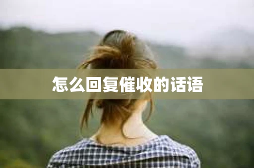怎么回复催收的话语