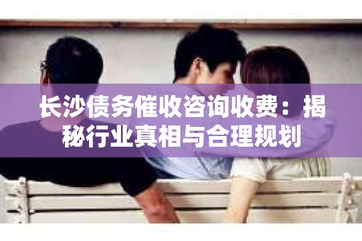 长沙债务催收咨询收费：揭秘行业真相与合理规划