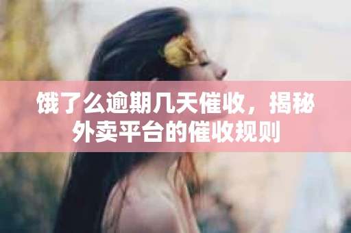 饿了么逾期几天催收，揭秘外卖平台的催收规则