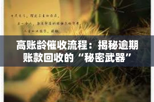 高账龄催收流程：揭秘逾期账款回收的“秘密武器”