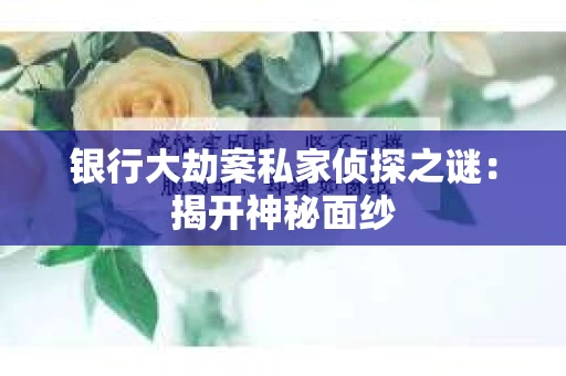 银行大劫案私家侦探之谜：揭开神秘面纱