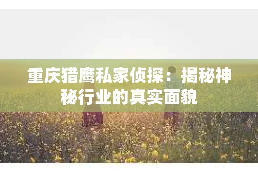 重庆猎鹰私家侦探：揭秘神秘行业的真实面貌