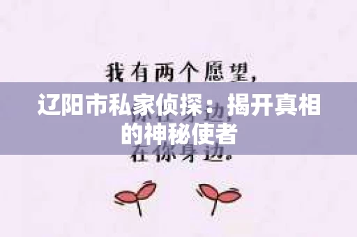 辽阳市私家侦探：揭开真相的神秘使者