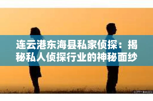 连云港东海县私家侦探：揭秘私人侦探行业的神秘面纱
