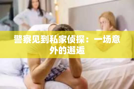 警察见到私家侦探：一场意外的邂逅