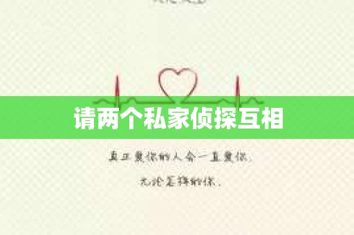 请两个私家侦探互相