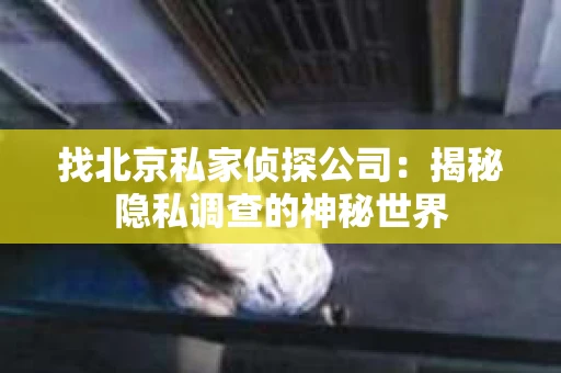 找北京私家侦探公司：揭秘隐私调查的神秘世界