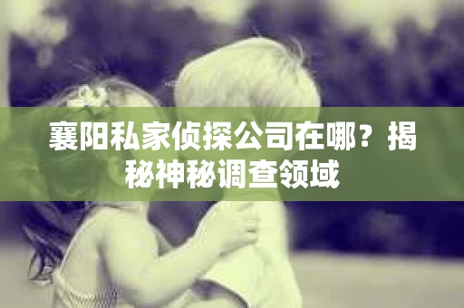 襄阳私家侦探公司在哪？揭秘神秘调查领域