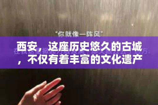 西安,这座历史悠久的古城,不仅有着丰富的文化遗产,也有着现代社会的各种需求。今天,我们就来聊聊一个比较特别的话题——西安有没有私家侦探。 西安,这座历史悠久的古城,不仅有着丰富的文化遗产,也有着现代社会的各种需求。今天,我们就来聊聊一个比较特别的话题——西安有没有私家侦探。