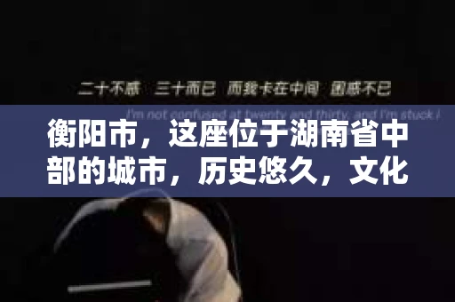 衡阳市，这座位于湖南省中部的城市，历史悠久，文化底蕴深厚。随着社会的发展，人们对于个人隐私的保护意识逐渐增强，私家侦探机构也应运而生。那么，衡阳市是否有私家侦探机构呢？今天，我们就来聊聊这个话题。