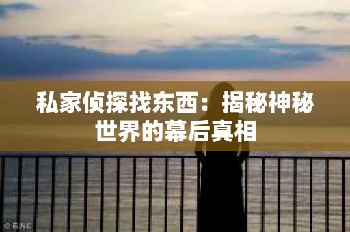 私家侦探找东西：揭秘神秘世界的幕后真相