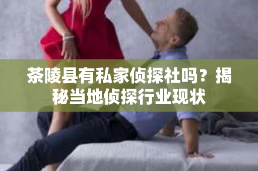 茶陵县有私家侦探社吗？揭秘当地侦探行业现状