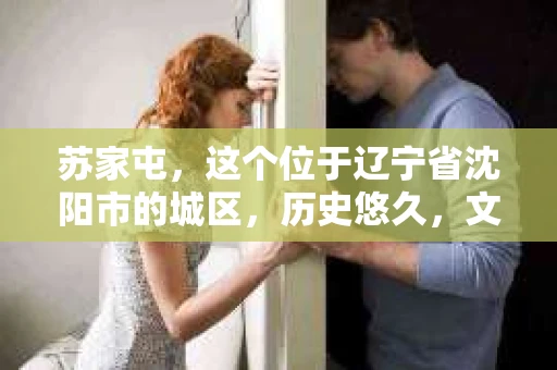 苏家屯，这个位于辽宁省沈阳市的城区，历史悠久，文化底蕴深厚。近年来，随着社会的发展，人们对于私家侦探的需求也逐渐增加。那么，苏家屯有私家侦探吗？今天，我们就来聊聊这个话题。
