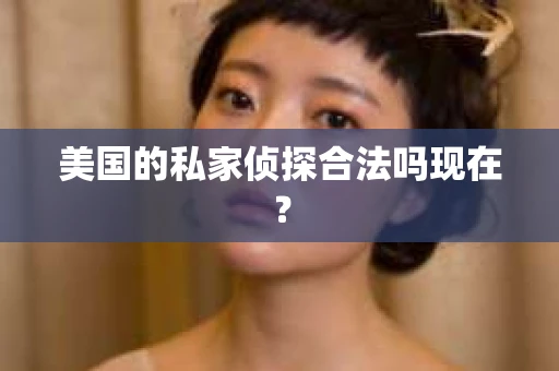 美国的私家侦探合法吗现在？