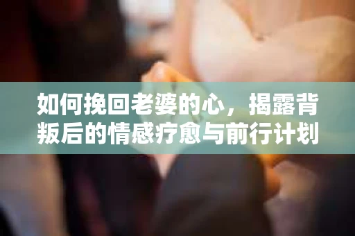 如何挽回老婆的心,揭露背叛后的情感疗愈与前行计划 如何挽回老婆的心,揭露背叛后的情感疗愈与前行计划