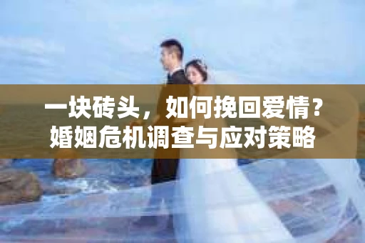 一块砖头,如何挽回爱情?婚姻危机调查与应对策略 一块砖头,如何挽回爱情?婚姻危机调查与应对策略