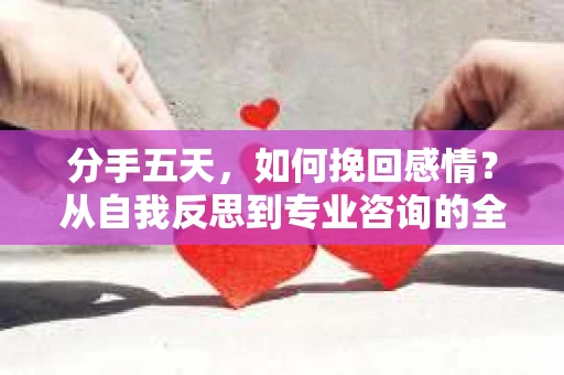 分手五天,如何挽回感情?从自我反思到专业咨询的全面解决方案 分手五天,如何挽回感情?从自我反思到专业咨询的全面解决方案