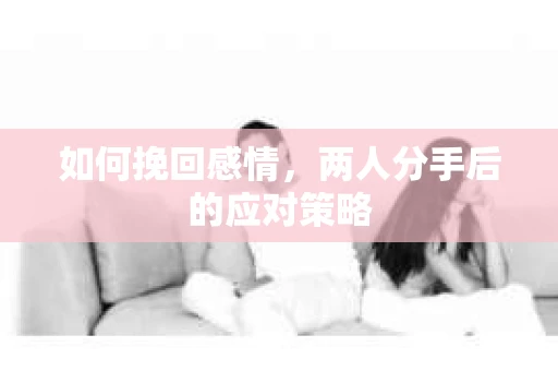 如何挽回感情,两人分手后的应对策略 如何挽回感情,两人分手后的应对策略